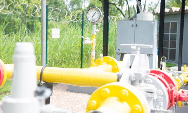 Planejamento da companhia inclui projetos de biometano na região litorânea, no sul e no oeste do estado