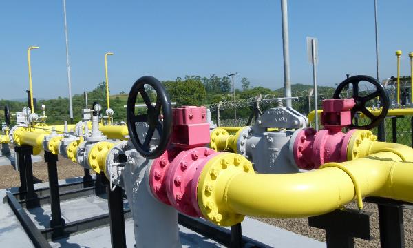 O leilão, organizado pela Agência Nacional de Energia Elétrica, foi classificado pelo ministro de Minas e Energia, Alexandre Silveira, como o maior leilão de segurança energética do Brasil.