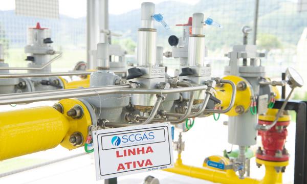 O destaque do período ficou por conta dos segmentos industrial e comercial, que alcançaram NPS de 100%.