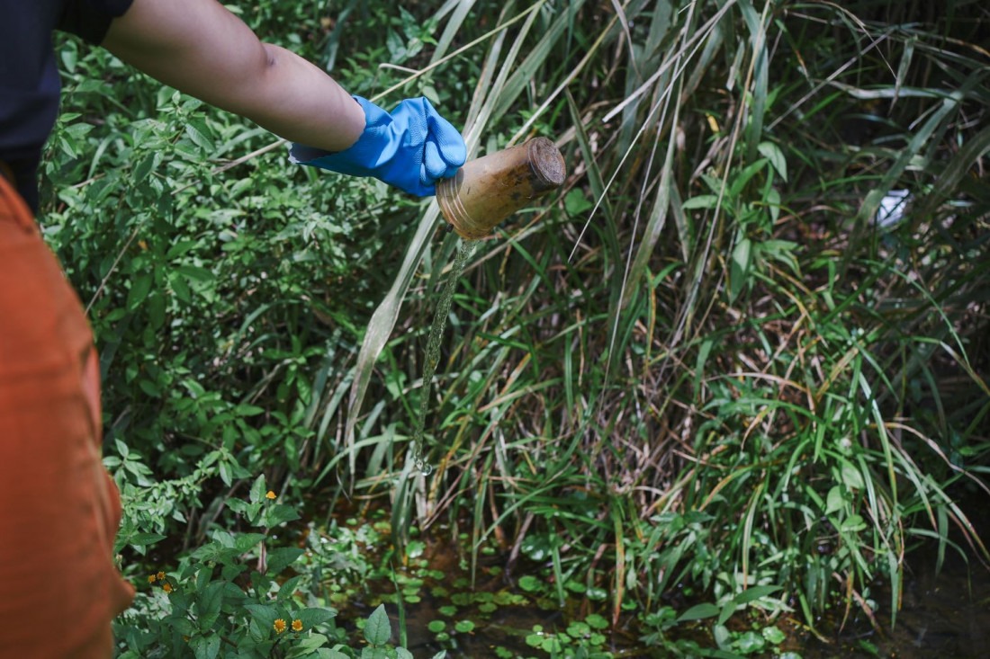 Dengue em Santa Catarina