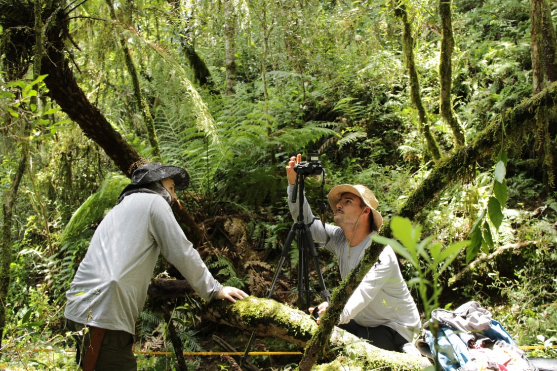 Seminário Catarinense de Adaptação às Mudanças Climáticas