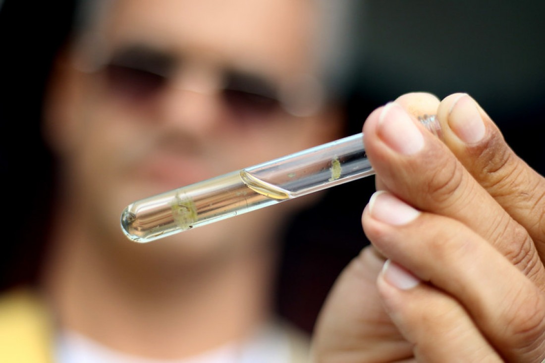 A população é fundamental na prevenção contra o mosquito Aedes aegypti, eliminando possíveis criadouros, principalmente dentro das residências