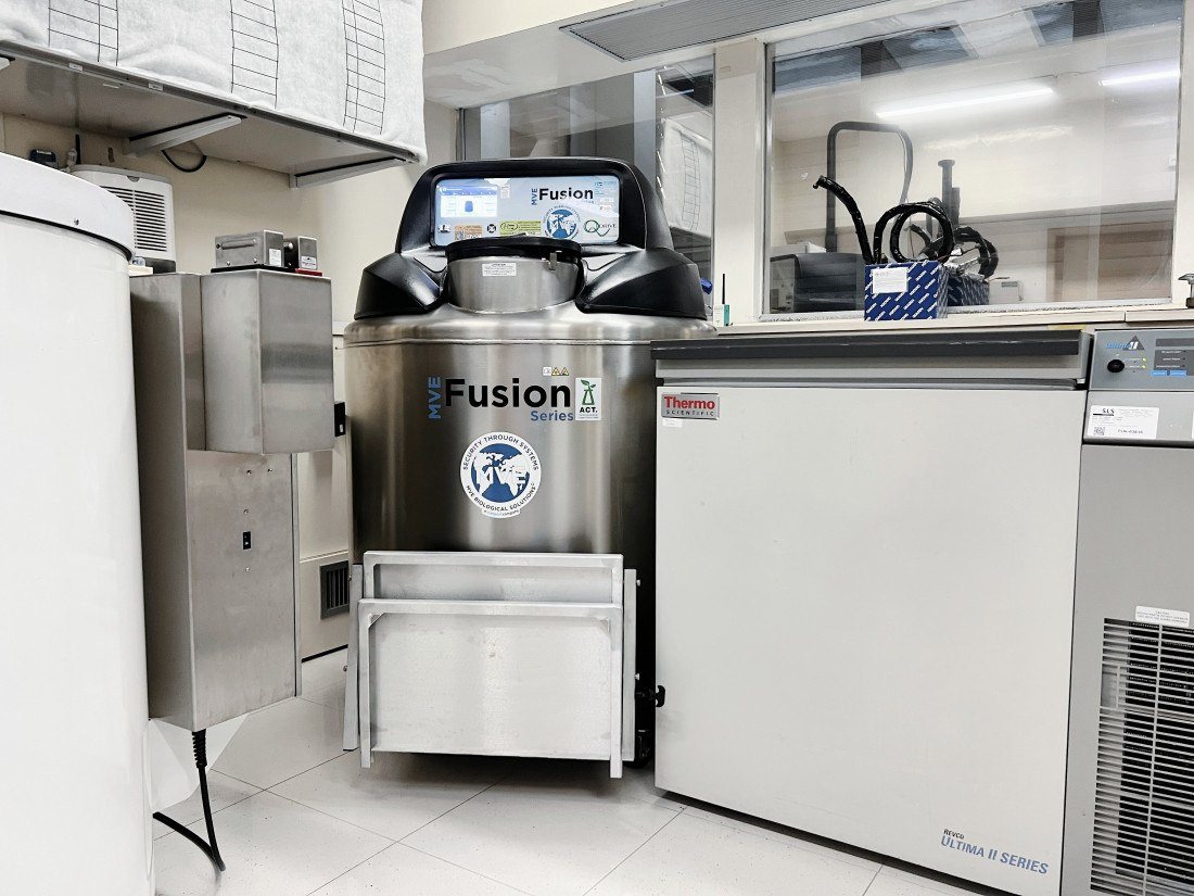 O HEMOSC adquiriu um moderno tanque criogênico para preservar Células Progenitoras Hematopoiéticas (CPH), utilizadas em transplantes de medula óssea. O equipamento garante maior segurança e economia de até seis vezes em energia elétrica, nitrogênio líquido e manutenção