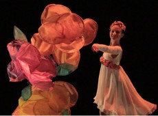 O Festival Santa Catarina Dança é um evento consolidado no calendário de grupos de dança do Brasil e do Mercosul. Em 2024, sua 16ª edição acontecerá de 26 a 29 de setembro, no Teatro Ademir Rosa, em Florianópolis