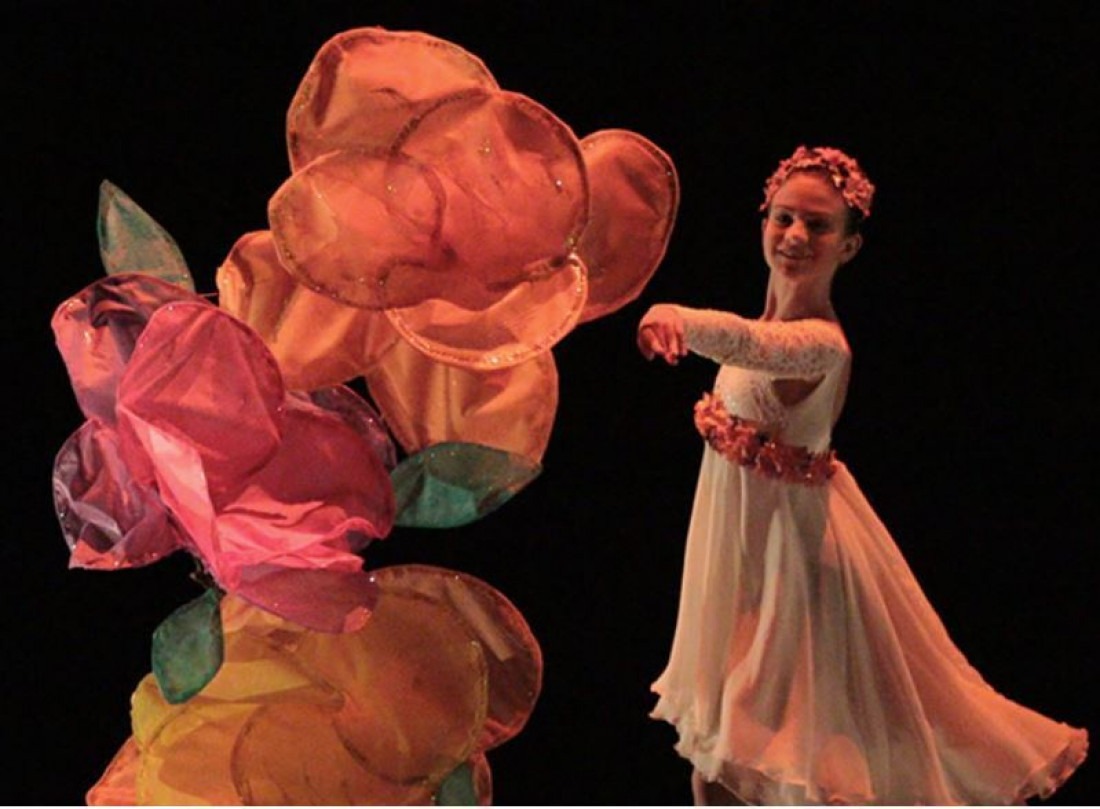 O Festival Santa Catarina Dança é um evento consolidado no calendário de grupos de dança do Brasil e do Mercosul. Em 2024, sua 16ª edição acontecerá de 26 a 29 de setembro, no Teatro Ademir Rosa, em Florianópolis