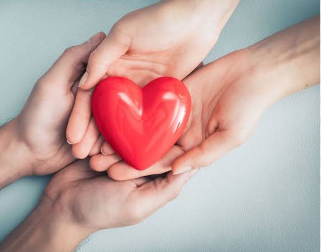 No Dia Nacional da Doação de Órgãos e Tecidos, celebrado em 27 de setembro, já são mais de 700 as pessoas que formalizaram sua vontade de doar através da Autorização Eletrônica de Doação de Órgãos (AEDO) em Santa Catarina