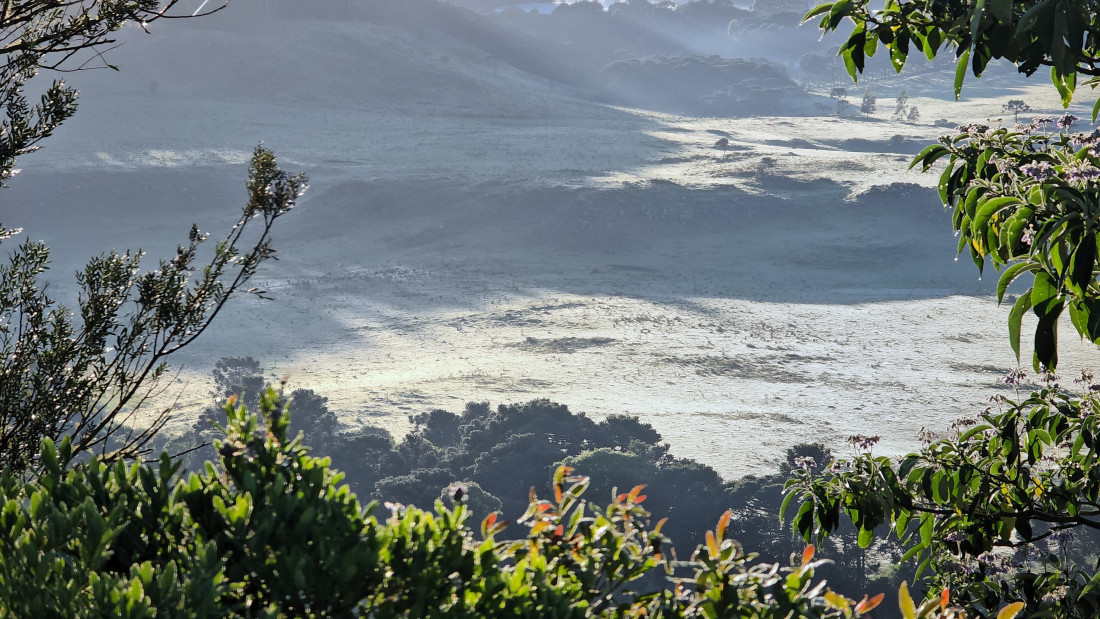 Em um evento climático incomum para a estação, o Vale do Caminhos da Neve registrou geada nesta quarta-feira (13/11)