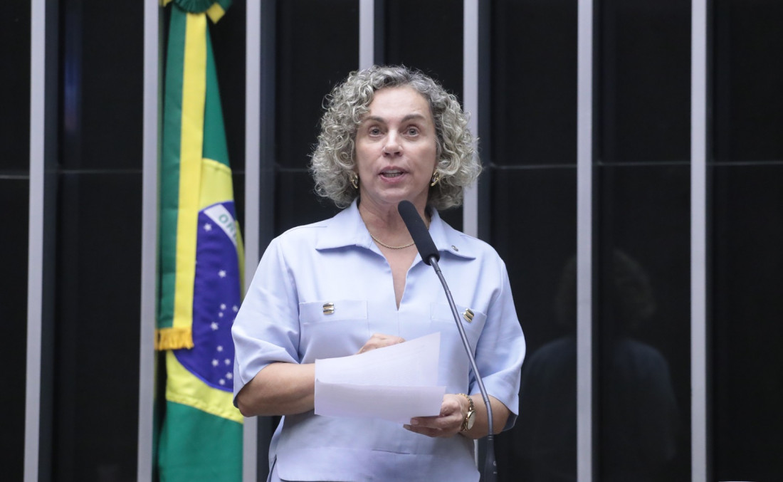 Deputado Ana Paula Lima (PT)