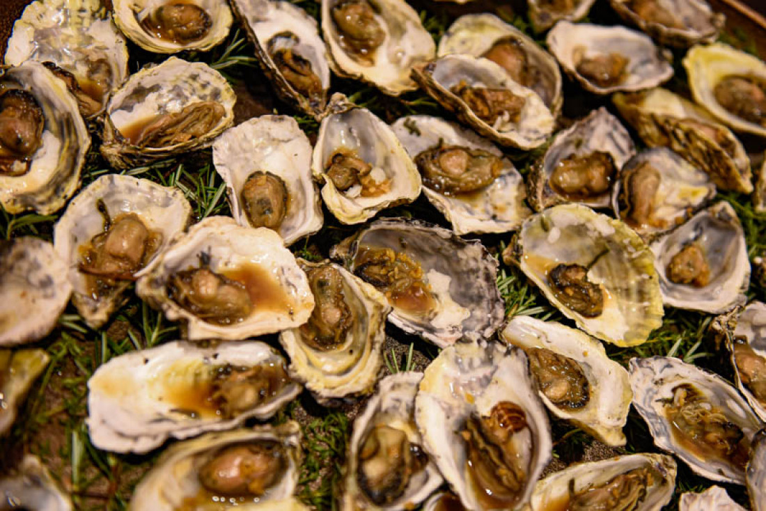 Santa Catarina avança na valorização e integração de seus produtos locais com a criação do Fórum Catarinense de Indicações Geográficas