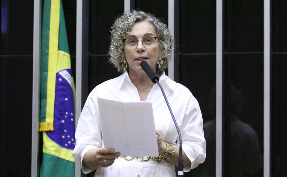 deputada federal Ana Paula Lima (PT/SC)
