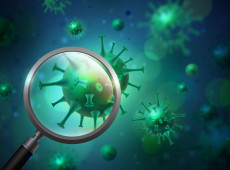  o metapneumovírus humano (HMPV) é um vírus respiratório comum,