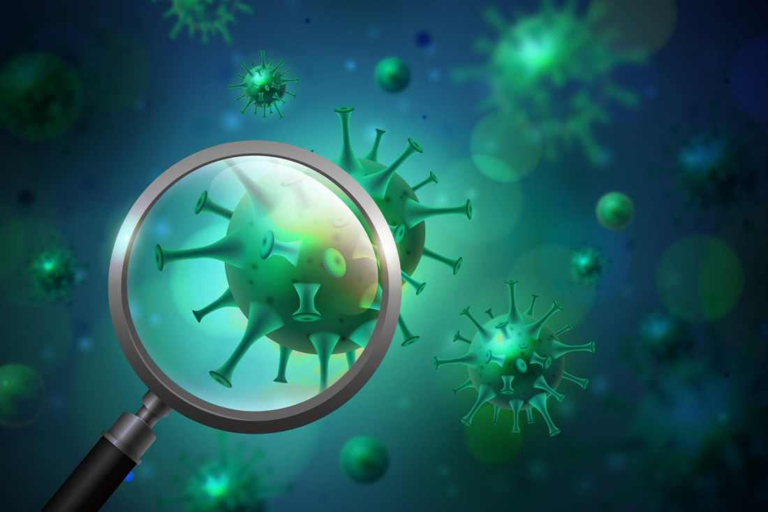  o metapneumovírus humano (HMPV) é um vírus respiratório comum,