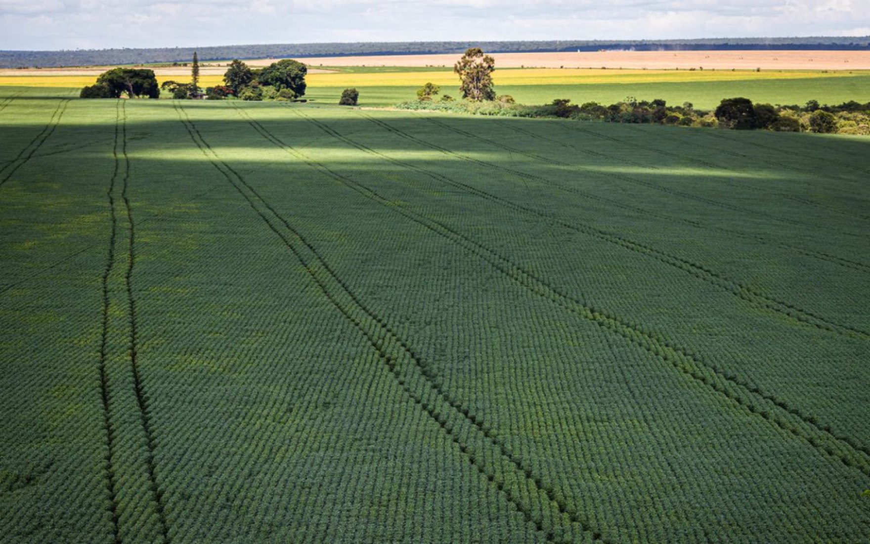 O Brasil é um dos principais exportadores agrícolas do mundo