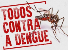231 dos 295 munícipios de Santa Catarina tem casos registrados de dengue