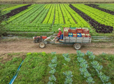 O Brasil é um dos maiores e mais competitivos produtores de grãos e proteínas do mundo. 