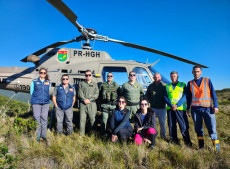 Projeto de Controle e Monitoramento de Pinus nos Campos Naturais da Serra do Cambirela 