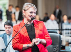 Deputada Luciane Carminatti (PT)