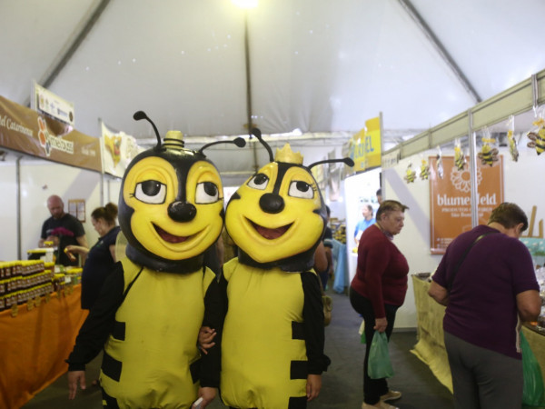  A XXIV Feira do Mel de SC será realizada  entre os dias 4 e 7 de junho, somente com produtos catarinenses. 