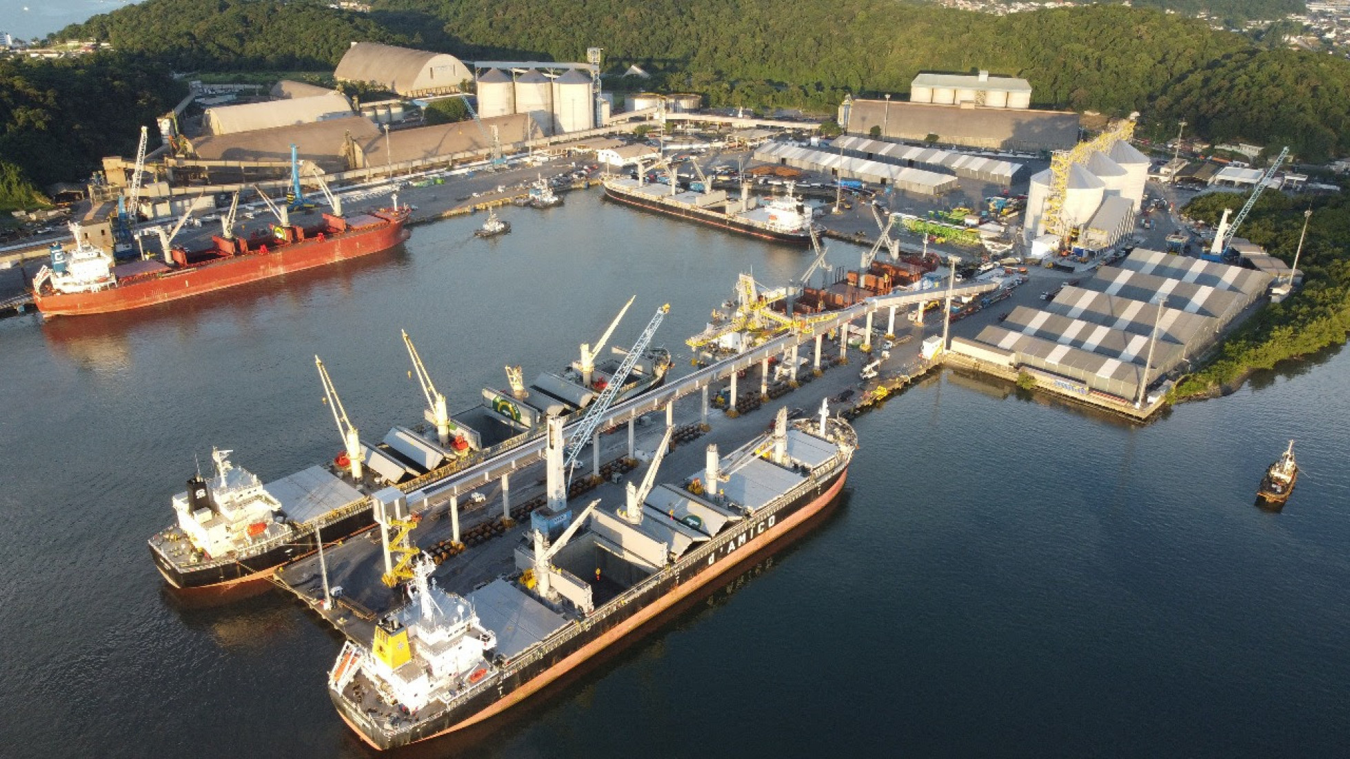 O Terminal Portuário Santa Catarina desenvolveu uma ferramenta inovadora e gratuita, o APP TESC, que permite verificar em tempo real o status da linha ferroviária no entorno