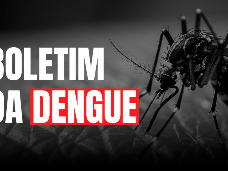 Em novo informe epidemiológico, a Secretaria de Saúde de Santa Catarina revela dados alarmantes sobre dengue e chikungunya, com aumento de casos e óbitos