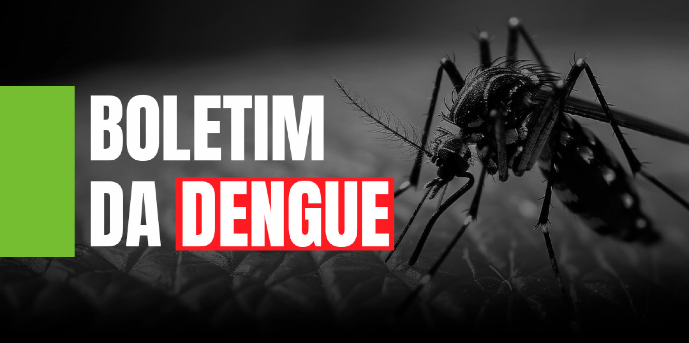 Em novo informe epidemiológico, a Secretaria de Saúde de Santa Catarina revela dados alarmantes sobre dengue e chikungunya, com aumento de casos e óbitos