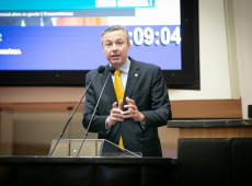 Deputado Napoleão Bernardes (PSD) é coordenador da Frente Parlamentar em Defesa das Universidades Comunitárias 