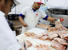 Brasil se declara país livre da gripe aviária