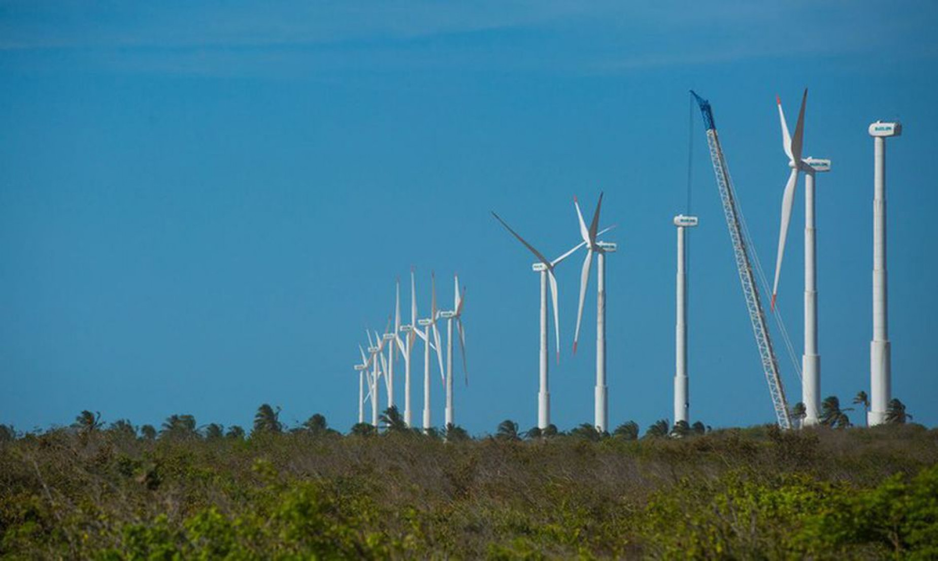 BB assina acordo de US$ 700 milhões para exportações e energia limpa
