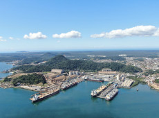 O complexo portuário é o maior porto em movimentação de carga de Santa Catarina e entre os 10 maiores portos públicos do Brasil em movimentação de carga geral.