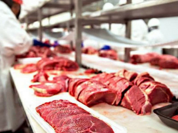 As exportações brasileiras de carne bovina somaram US$ 1,428 bilhão em junho de 2025, um aumento de 50% em comparação com o mesmo mês do ano anterior. 