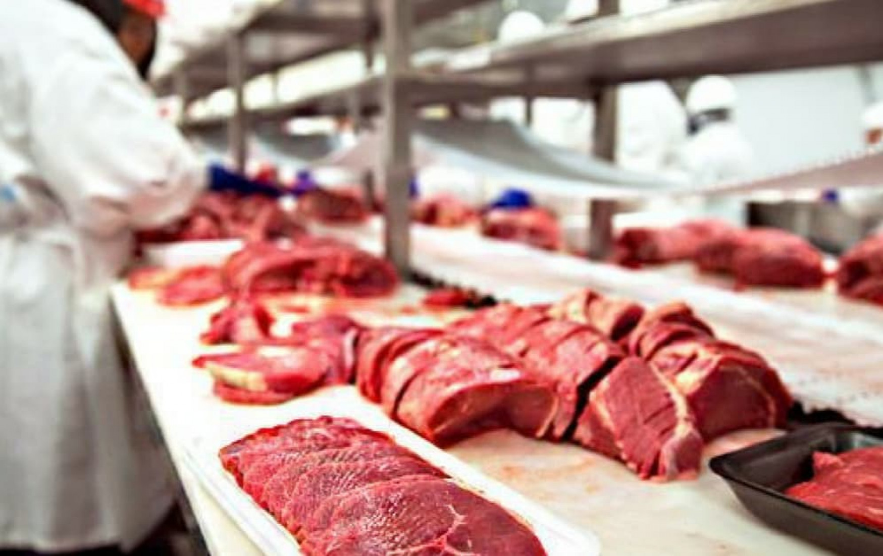 As exportações brasileiras de carne bovina somaram US$ 1,428 bilhão em junho de 2025, um aumento de 50% em comparação com o mesmo mês do ano anterior.