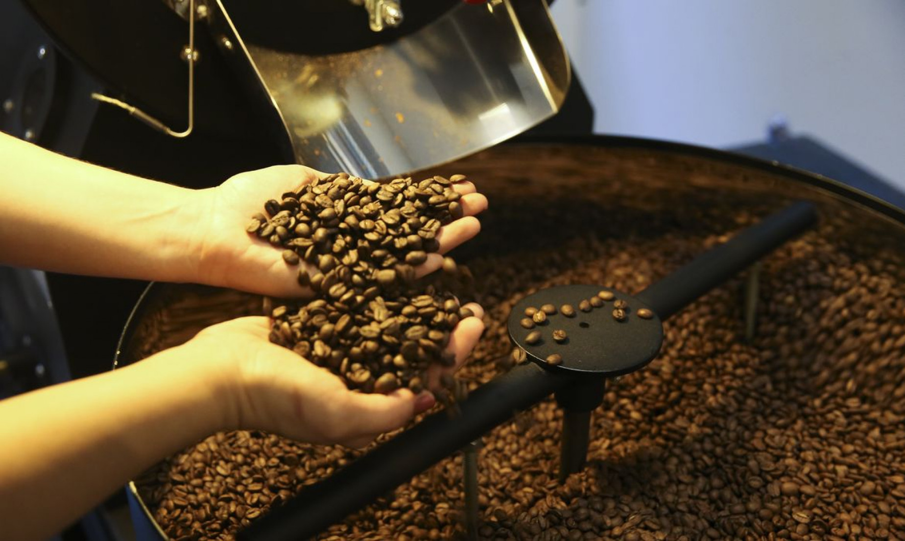 Setor cafeeiro pode ser forçado a redirecionar produção, diz Cepea/USP