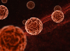 Mieloma: entenda de forma simples o que é esse câncer no sangue e seus sintomas