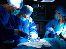 Pulmão de porco transplantado em humano funcionou por nove dias, aponta estudo. Pesquisa revela avanços do xenotransplante