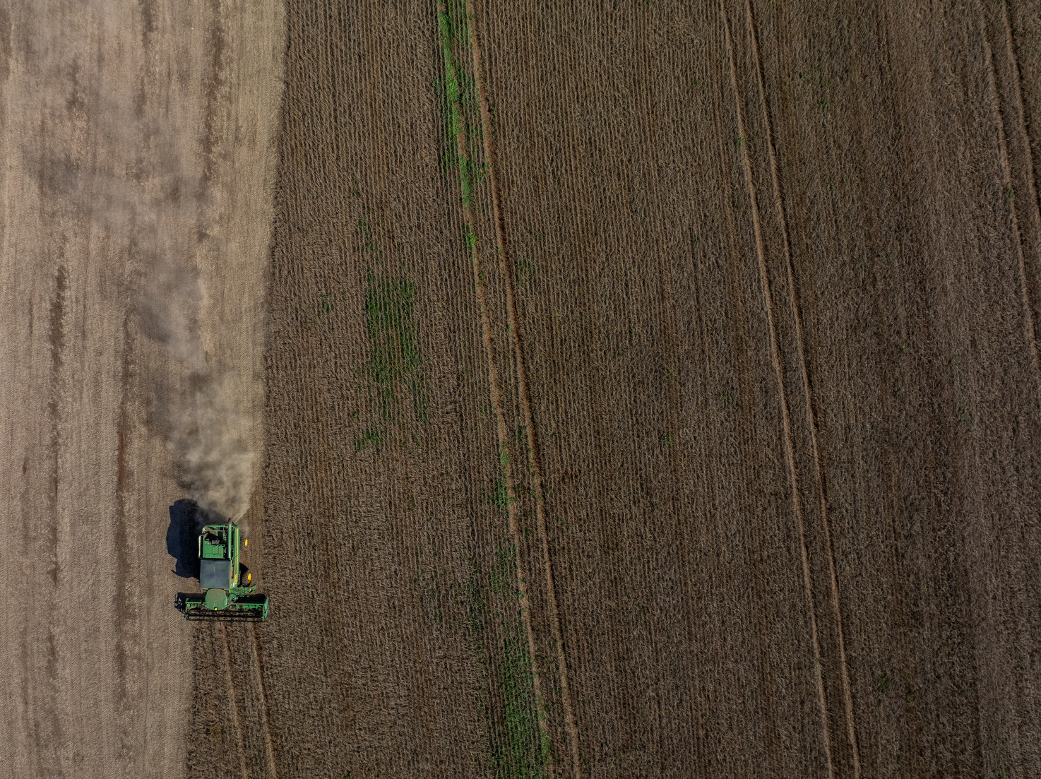 O desempenho positivo da safra 2025 reforça a importância da agricultura no desenvolvimento econômico de Santa Catarina
