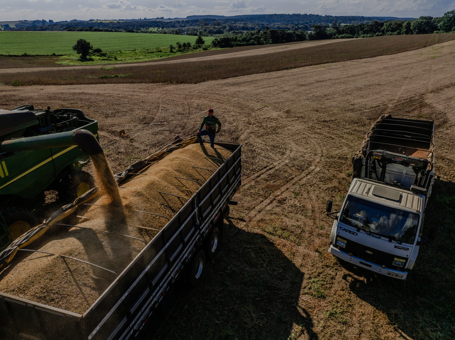 Todos os principais produtos apresentaram alta na produção: arroz (+12,2%), feijão (+14,1%), milho (+24,7%), soja (+19,1%) e trigo (+40,5%)
