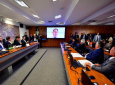 Tagliaferro (no telão) mora na Itália, de onde falou à comissão

