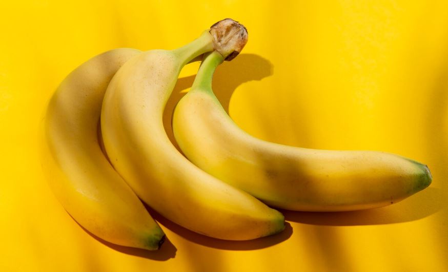 Governo federal autorizou a entrada do produto no país, e bananicultores catarinenses alertam para risco fitossanitário