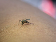 INSS vai pagar indenização de R$ 50 mil e pensão vitalícia de R$ 8,1 mil para pessoas com deficiência permanente causada pelo Zika vírus.