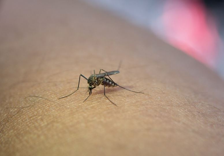 INSS vai pagar indenização de R$ 50 mil e pensão vitalícia de R$ 8,1 mil para pessoas com deficiência permanente causada pelo Zika vírus.