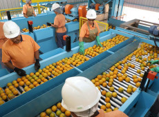 Exportação de produtos atingidos por tarifaço cai 22% em agosto