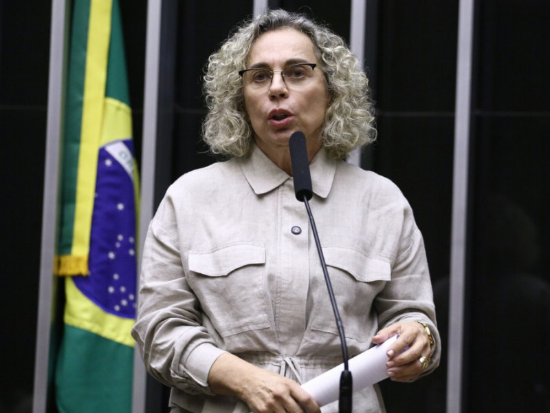 Deputado federal Ana Paula Lima (PT)