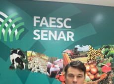 O vice-presidente da Faesc, Clemerson Argenton Pedrozo confirma que a situação da araucária em Santa Catarina é crítica e ressalta que essa é uma preocupação que vinha sendo discutida há algum tempo pelo setor produtivo. 