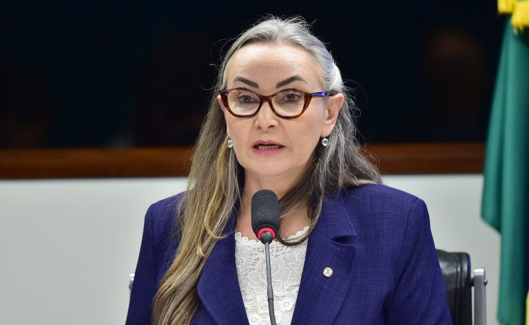 A proposta relatada por Daniela altera a Lei da Reforma Agrária e estabelece que imóveis rurais invadidos não poderão ser desapropriados para fins de reforma agrária
