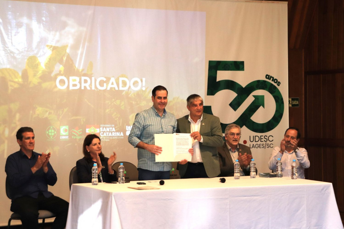 O estudo inédito detalha a distribuição e o volume das plantações de Pinus e Eucalyptus, reforçando a posição catarinense como um dos maiores polos florestais do Brasil