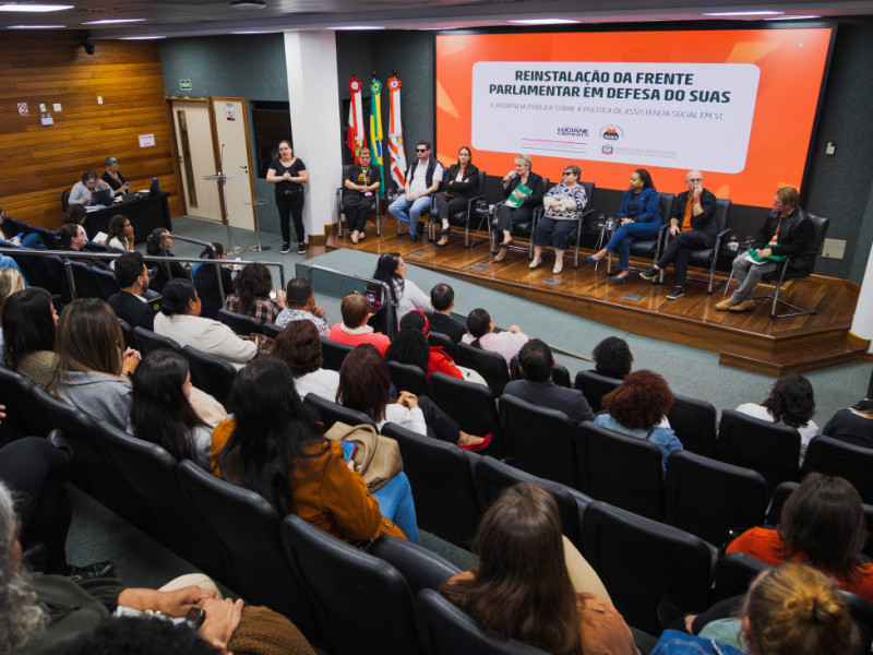 Audiência pública também foi marcada pelo reinstalação da Frente Parlamentar em Defesa do Suas.
