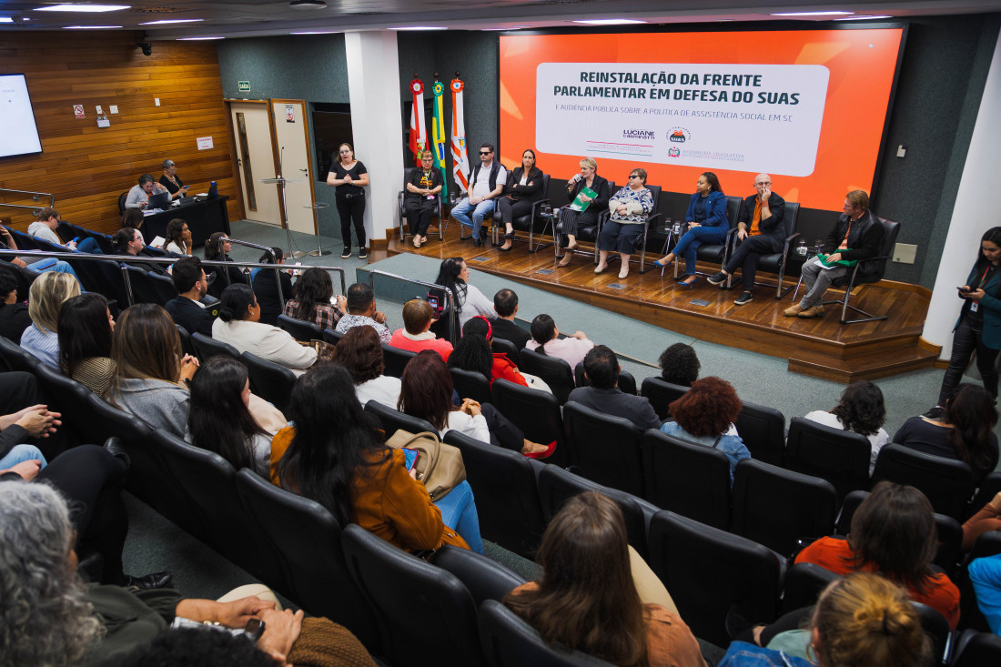 Audiência pública também foi marcada pelo reinstalação da Frente Parlamentar em Defesa do Suas.
