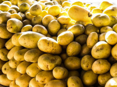 Batata, ovos e verduras reduzem pressão inflacionária em agosto em SP