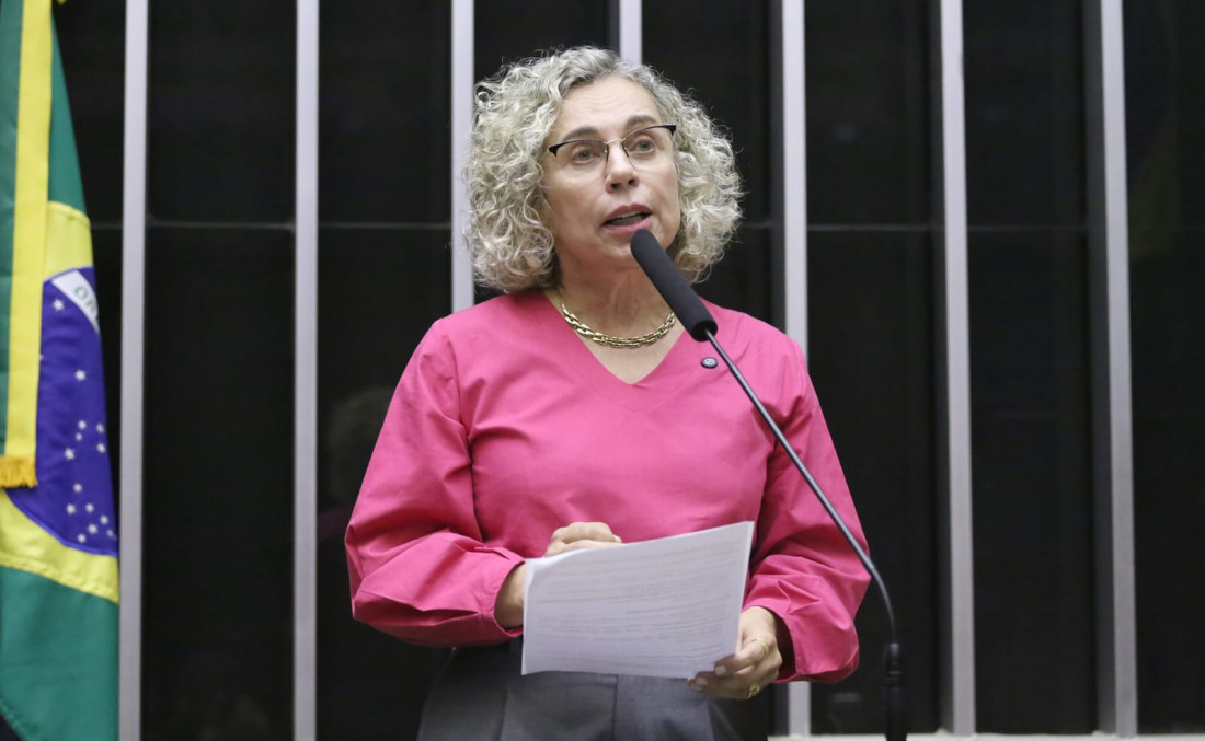 Deputada federal Ana Paula Lima (PT)