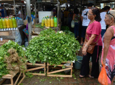 Mercado do Povo levará mercados modulares a pequenas cidades